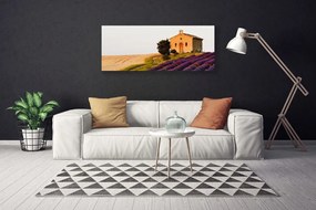 Duży obraz na płótnie Horyzont nad Złotym Polem