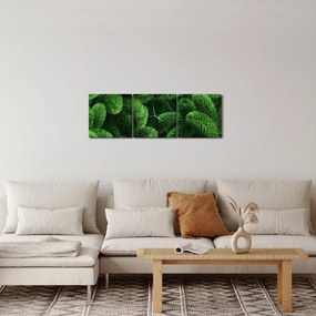 Obraz - Gałązki drzew iglastych (z zegarem) (90x30 cm)