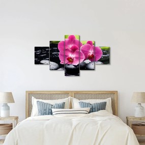 Obraz - Różowe orchidee z liściem palmy (125x70 cm)