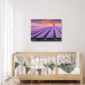 Obraz na szkle - farma kwiatów (70x50 cm)