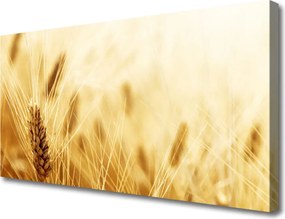 Fotoobraz na płótnie Łany Złotej Pszenicy
