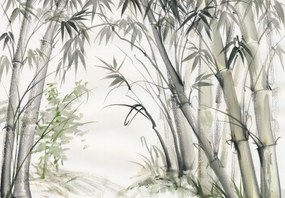 Fototapeta - Bambusy (196x136 cm)