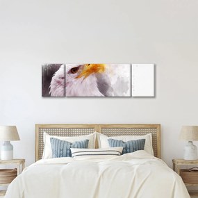 Obraz orła (170x50 cm)