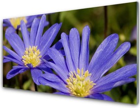 Panel Szklany do Kuchni Botaniczna Elegancja