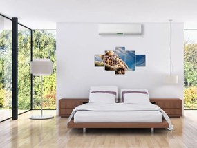 Obraz sowy (125x70 cm)