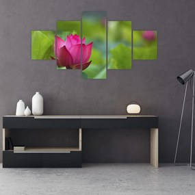 Obraz - roślina wodna (125x70 cm)