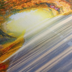 Obraz - Brama wykonana z koron drzew (125x70 cm)
