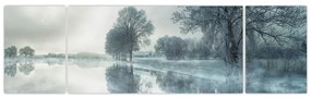 Obraz zimowej natury (170x50 cm)