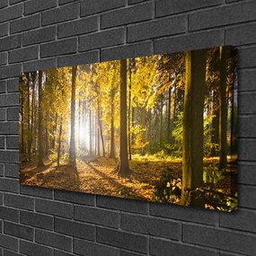 Fotoobraz na płótnie Głęboka Zieleń Leśnych Liści