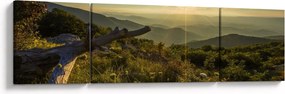 Obraz - Widok na otoczenie (170x50 cm)