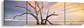 Obraz drzewa w oceanie (170x50 cm)
