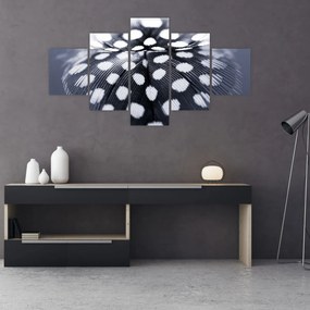 Obraz - Piórko (125x70 cm)