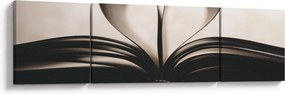 Obraz książki (170x50 cm)
