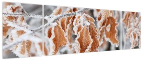 Obraz - Zamarznięte liście (170x50 cm)