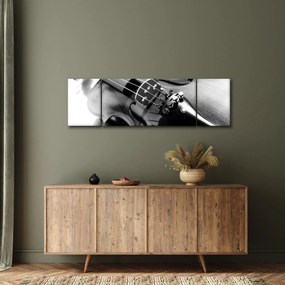 Obraz - Skrzypce (170x50 cm)