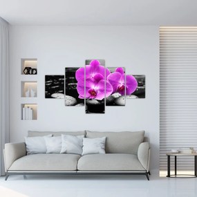 Obraz - Fioletowe orchidee (125x70 cm)