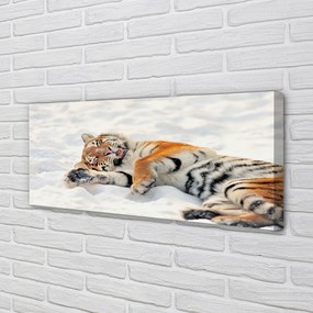 Fotoobraz na płótnie Zimowy Tygrys na Śniegu