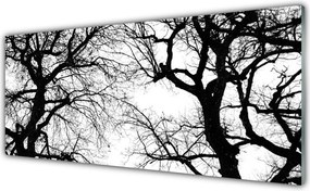 Panel Szklany Drzewa w Czerni i Bieli