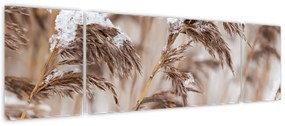 Obraz - Lipnice (170x50 cm)