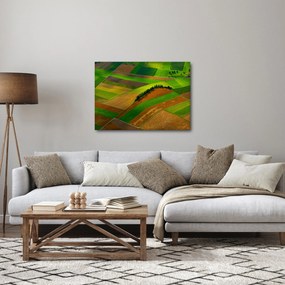 Obraz - Pola, łąki (70x50 cm)