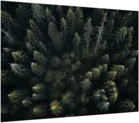 Obraz na szkle - Las (70x50 cm)