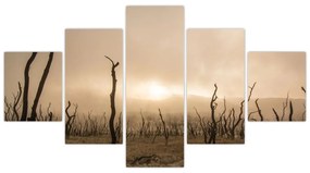 Obraz - Nagie drzewa (125x70 cm)