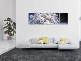 Obraz - Śnieżnobiałe drzewo (170x50 cm)