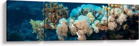 Obraz - W oceanie (170x50 cm)