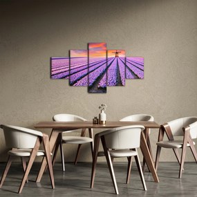 Obraz - farma kwiatów (125x70 cm)