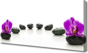 Zdjęcie na płótnie Storczyk na Gładkich Kamieniach