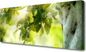 Obraz canvas Dojrzałe Jabłka na Gałęzi