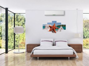 Obraz rozgwiazdy (125x70 cm)