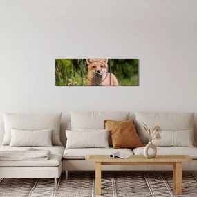 Obraz lisa (z zegarem) (90x30 cm)