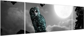 Obraz - Nocna sowa, niebieski (170x50 cm)