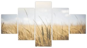 Obraz ziarna (125x70 cm)