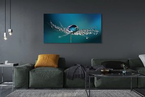 Obraz canvas na ścianę Makro Dmuchawca z Rosą