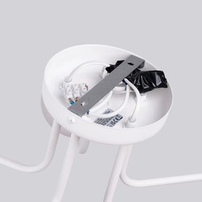 Żyrandol ASTRAL 5 biały SOLLUX  LIGHTING