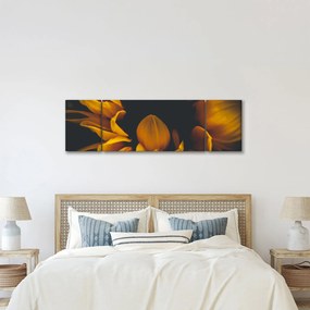 Obraz - Słoneczniki na czarnym tle (170x50 cm)