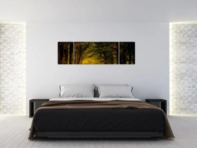 Obraz lasu (170x50 cm)