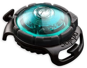 Lampka LED na obrożę Turquoise – Orbiloc