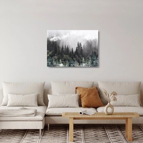 Obraz na szkle - Las z ilustrowanymi elementami (70x50 cm)
