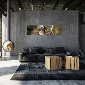 Obraz - Odbicie w szklanej kuli (170x50 cm)