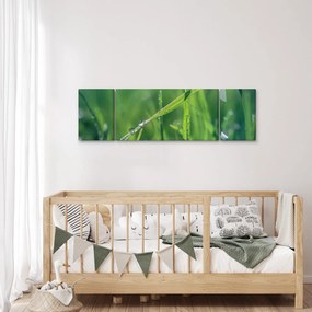 Obraz kropli rosy (170x50 cm)