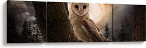 Obraz sowy palonej (170x50 cm)