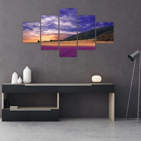 Obraz lawendowej łąki (125x70 cm)