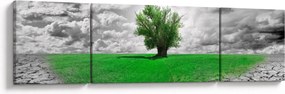 Obraz - Kawałek natury w mieście (170x50 cm)