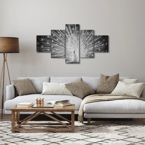 Obraz - Biały paw (125x70 cm)