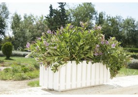 Gardenico Donica Fency antracyt, 50 x 18,5 cm, 50 cm