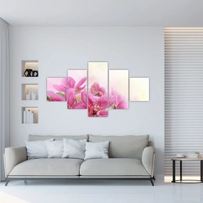 Obraz - Różowe kwiaty (125x70 cm)
