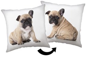 Poduszka dziecięca 40x40 cm Bulldog – Jerry Fabrics